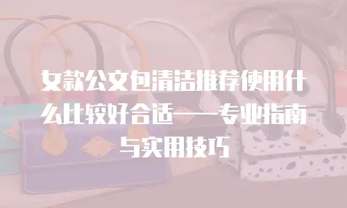 女款公文包清洁推荐使用什么比较好合适——专业指南与实用技巧