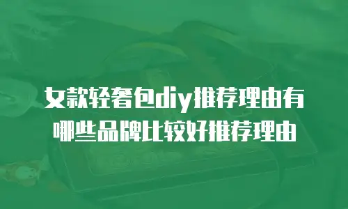 女款轻奢包diy推荐理由有哪些品牌比较好推荐理由