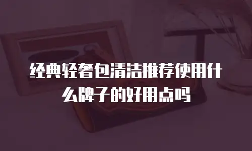 经典轻奢包清洁推荐使用什么牌子的好用点吗