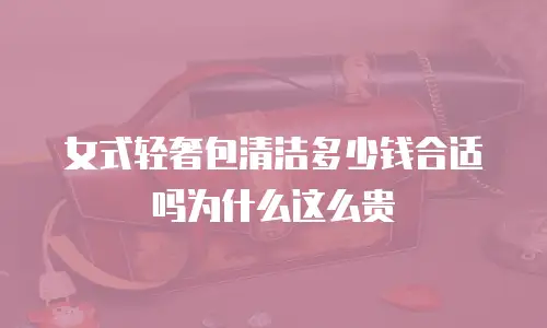 女式轻奢包清洁多少钱合适吗为什么这么贵