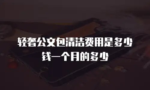 轻奢公文包清洁费用是多少钱一个月的多少