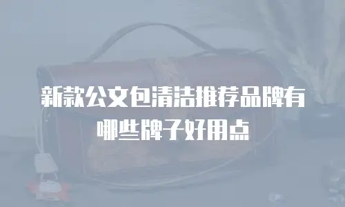 新款公文包清洁推荐品牌有哪些牌子好用点