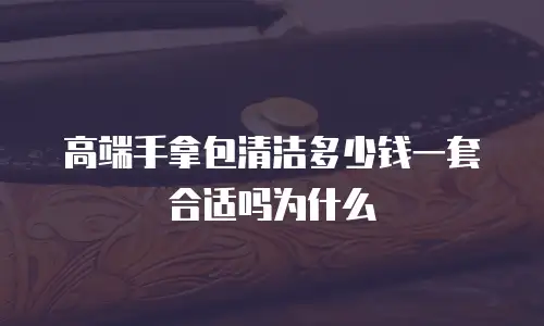 高端手拿包清洁多少钱一套合适吗为什么