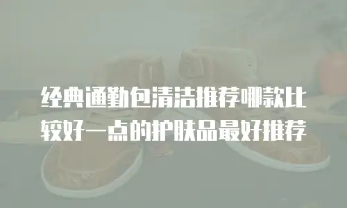 经典通勤包清洁推荐哪款比较好一点的护肤品最好推荐