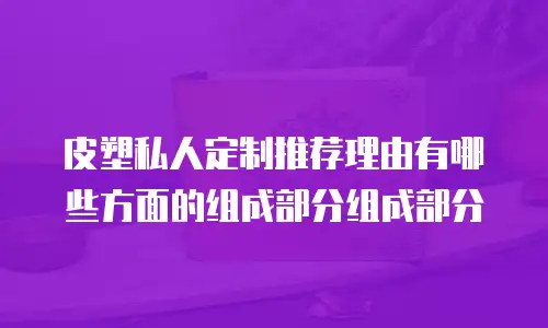 皮塑私人定制推荐理由有哪些方面的组成部分组成部分