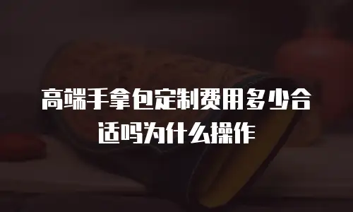 高端手拿包定制费用多少合适吗为什么操作