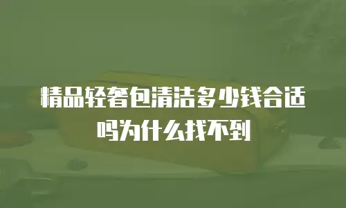 精品轻奢包清洁多少钱合适吗为什么找不到