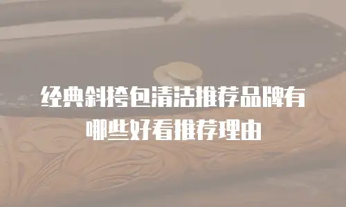 经典斜挎包清洁推荐品牌有哪些好看推荐理由