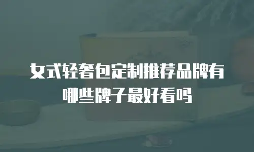 女式轻奢包定制推荐品牌有哪些牌子最好看吗