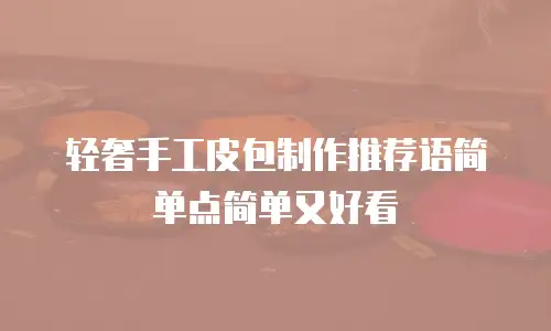 轻奢手工皮包制作推荐语简单点简单又好看
