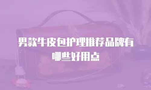 男款牛皮包护理推荐品牌有哪些好用点