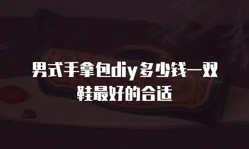 男式手拿包diy多少钱一双鞋最好的合适