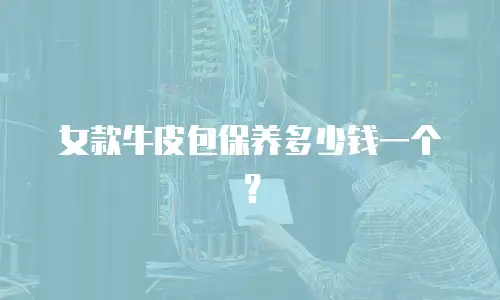 女款牛皮包保养多少钱一个？