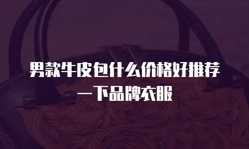 男款牛皮包什么价格好推荐一下品牌衣服