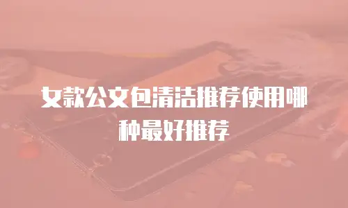 女款公文包清洁推荐使用哪种最好推荐