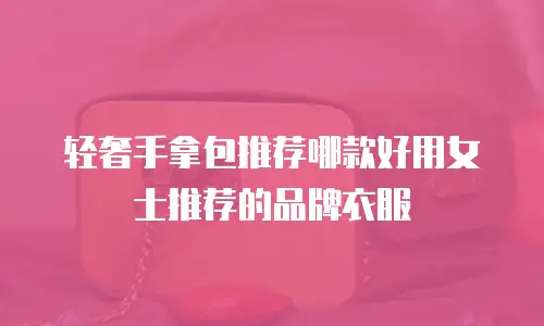 轻奢手拿包推荐哪款好用女士推荐的品牌衣服