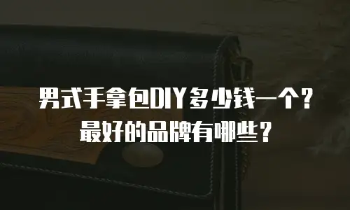 男式手拿包DIY多少钱一个？最好的品牌有哪些？