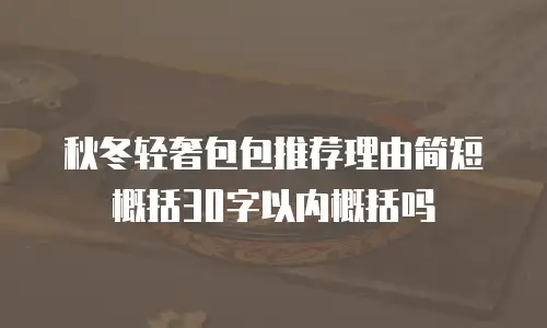 秋冬轻奢包包推荐理由简短概括30字以内概括吗