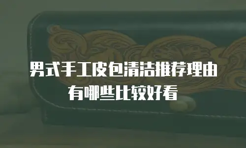 男式手工皮包清洁推荐理由有哪些比较好看