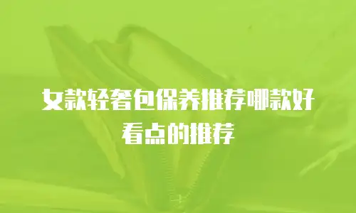 女款轻奢包保养推荐哪款好看点的推荐
