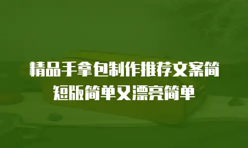 精品手拿包制作推荐文案简短版简单又漂亮简单