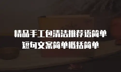 精品手工包清洁推荐语简单短句文案简单概括简单
