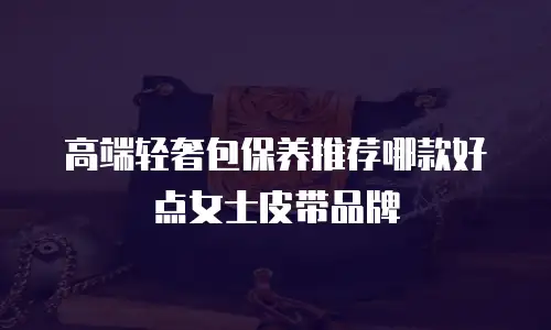 高端轻奢包保养推荐哪款好点女士皮带品牌