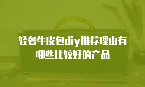 轻奢牛皮包diy推荐理由有哪些比较好的产品