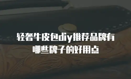 轻奢牛皮包diy推荐品牌有哪些牌子的好用点
