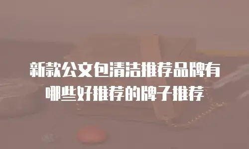 新款公文包清洁推荐品牌有哪些好推荐的牌子推荐