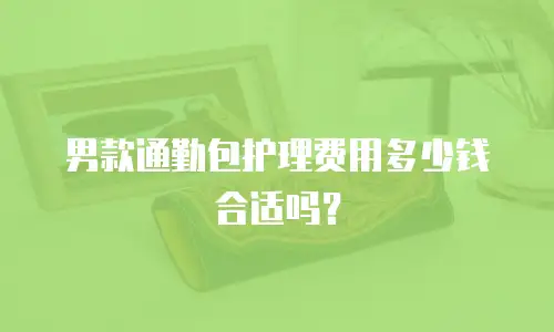 男款通勤包护理费用多少钱合适吗？
