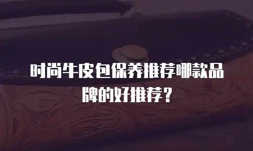 时尚牛皮包保养推荐哪款品牌的好推荐？
