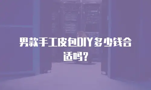 男款手工皮包DIY多少钱合适吗？