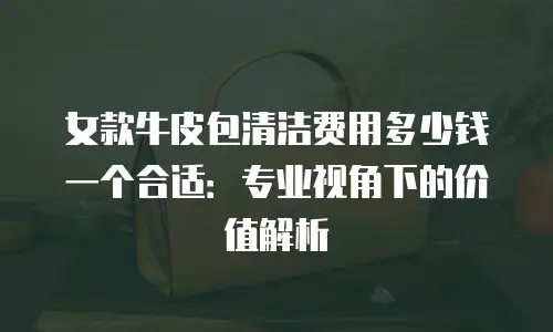 女款牛皮包清洁费用多少钱一个合适：专业视角下的价值解析