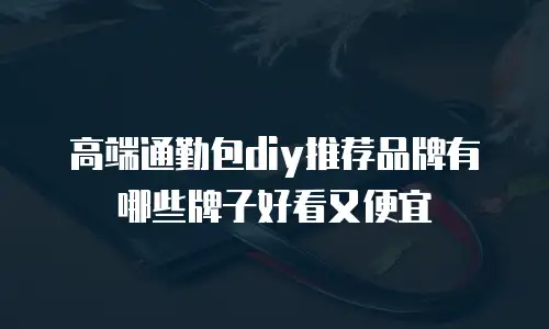 高端通勤包diy推荐品牌有哪些牌子好看又便宜