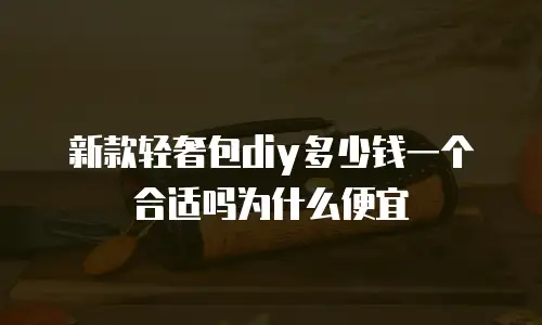 新款轻奢包diy多少钱一个合适吗为什么便宜