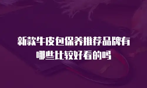 新款牛皮包保养推荐品牌有哪些比较好看的吗