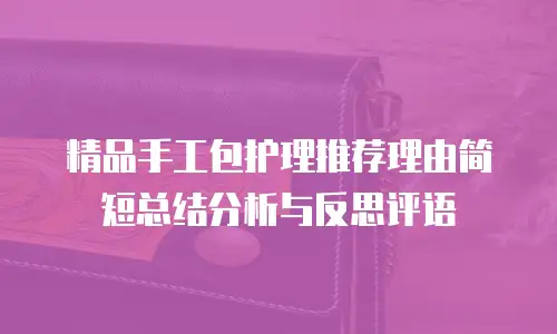 精品手工包护理推荐理由简短总结分析与反思评语