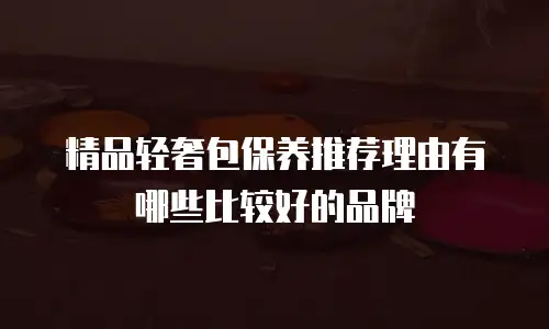 精品轻奢包保养推荐理由有哪些比较好的品牌