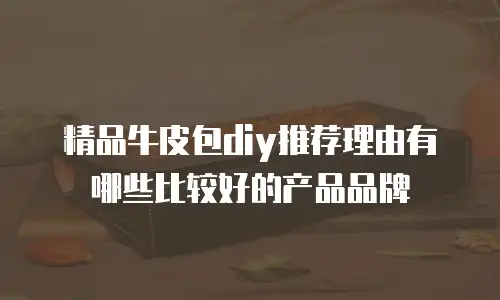 精品牛皮包diy推荐理由有哪些比较好的产品品牌