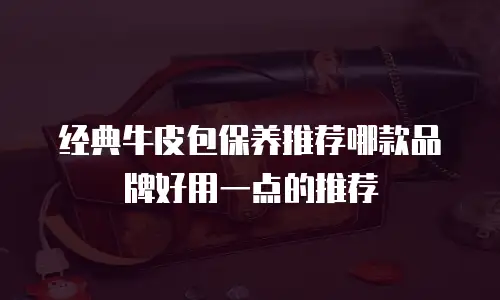 经典牛皮包保养推荐哪款品牌好用一点的推荐