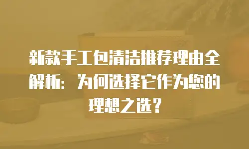 新款手工包清洁推荐理由全解析：为何选择它作为您的理想之选？