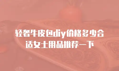 轻奢牛皮包diy价格多少合适女士用品推荐一下