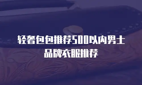 轻奢包包推荐500以内男士品牌衣服推荐