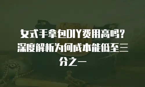 女式手拿包DIY费用高吗？深度解析为何成本能低至三分之一