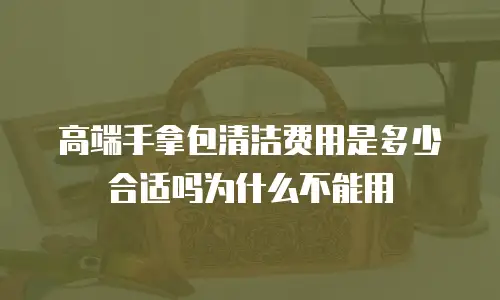 高端手拿包清洁费用是多少合适吗为什么不能用