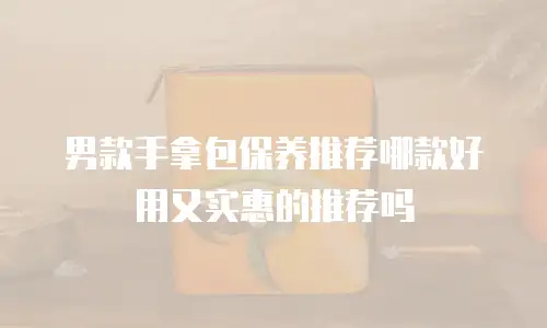 男款手拿包保养推荐哪款好用又实惠的推荐吗