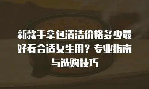 新款手拿包清洁价格多少最好看合适女生用？专业指南与选购技巧