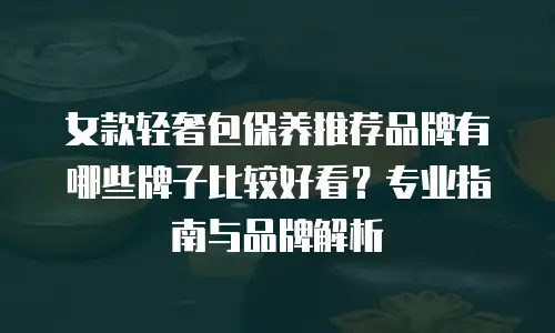 女款轻奢包保养推荐品牌有哪些牌子比较好看？专业指南与品牌解析