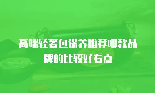 高端轻奢包保养推荐哪款品牌的比较好看点